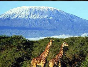 How fit do you need to be to climb Kilimanjaro?
